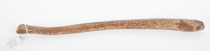 Inuit Fossilized Whale Bone Club