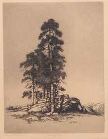 George Elbert Burr, American (1859-1939), Group of Pines, etching with drypoint