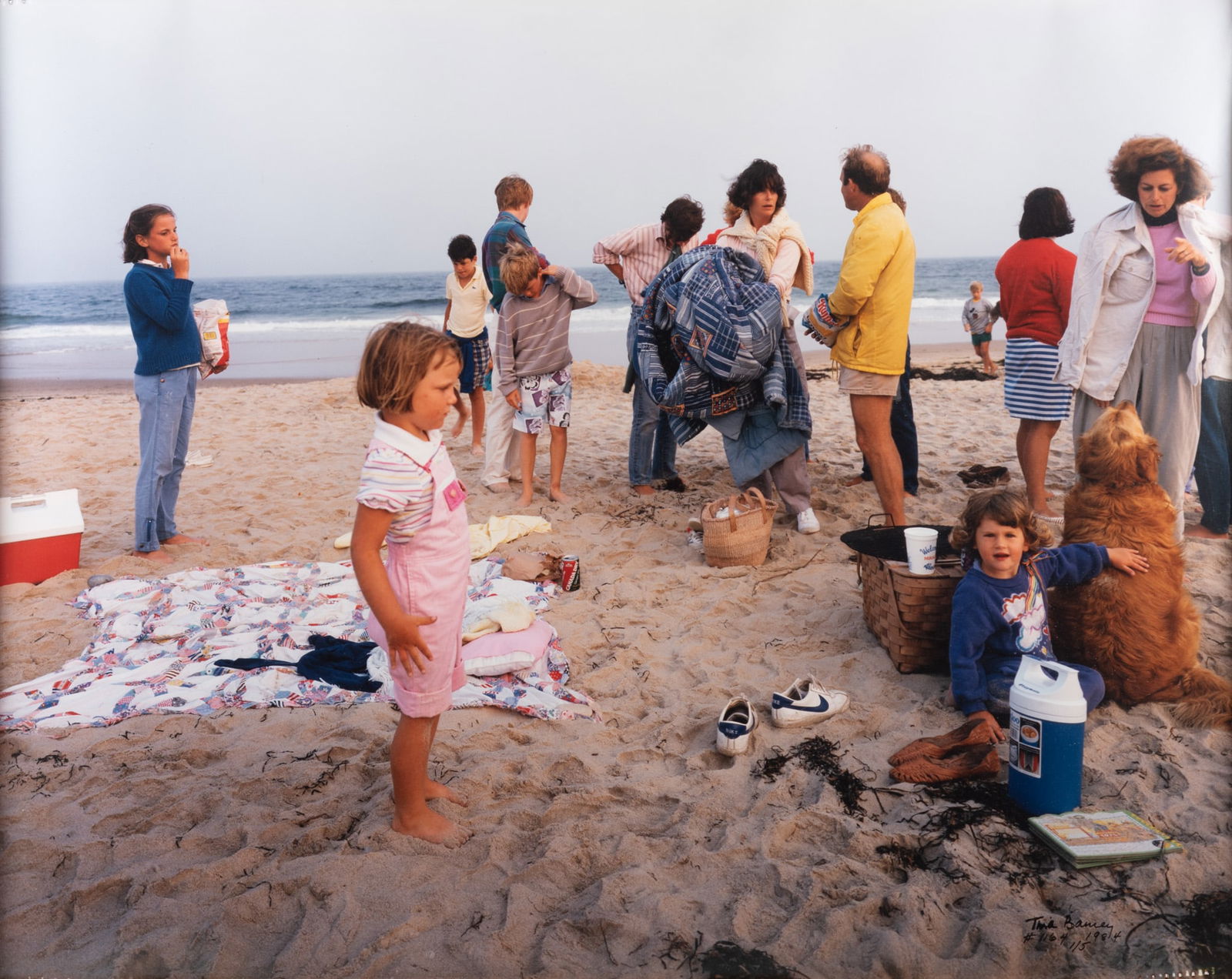 Tina Barney, New York, Rhode Island (b. 1945), The Cookout, (T.B. 1161), 1984, chromographic color (1 of 7)