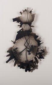 Katy Stone, American 20th-21st Centuries, Gelatin Silver Spore, 2008, acrylic on Duralar, mounted on