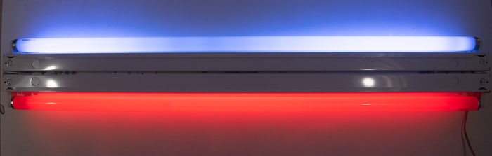 Red and White Neon Light Fixture