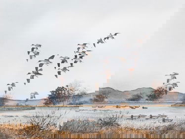 David Hagerbaumer, California, Illinois (1921-2014), Ducks Landing, 1988, watercolor on paper