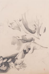 Russell Kraus, St. Louis (1918-2009), Leaves, graphite on paper