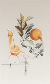 Salvador Dali, Spanish (1904-1989), Pamplemousse ?rotique, color photolithograph and engraving, ed.