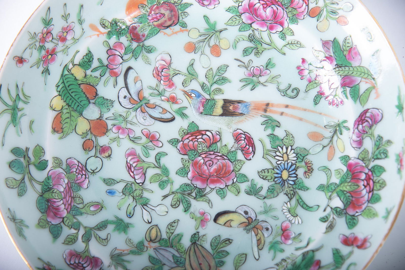 Four Chinese Famille Rose Celadon Bowls: Four Chinese Famille Rose Celadon Bowls China, late 19th/early 20th century, a matched set of four shallow-well Chinese Export bowls, the patterns of birds, flowers, fruits and butterflies on a