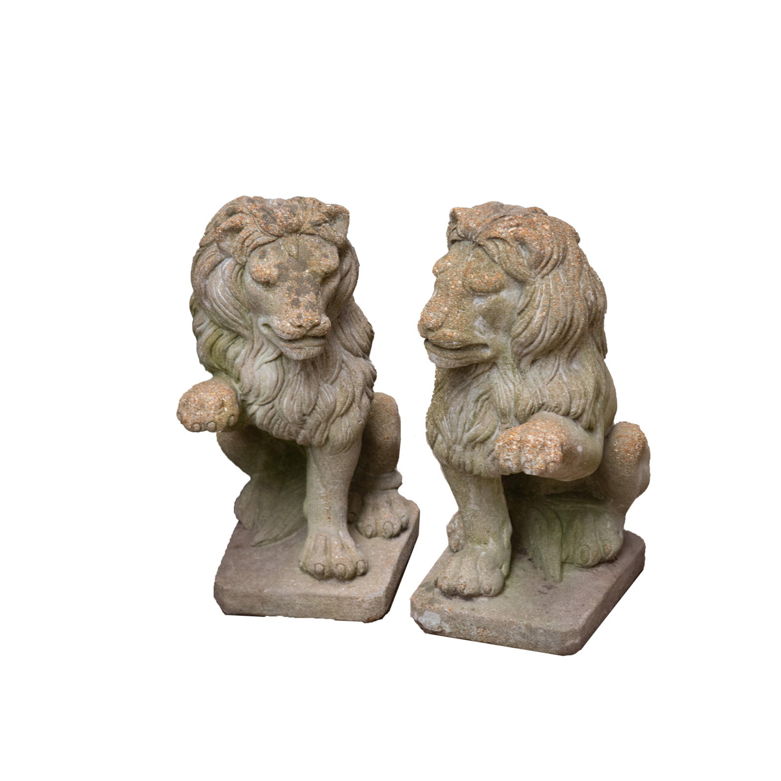 Pair of Lion Garden Entryway Statues: Pair of Lion Garden Entryway Statues A pair of standalone garden lion statues specifically in a seated or sentry pose. 24 x 11 x 17 inches