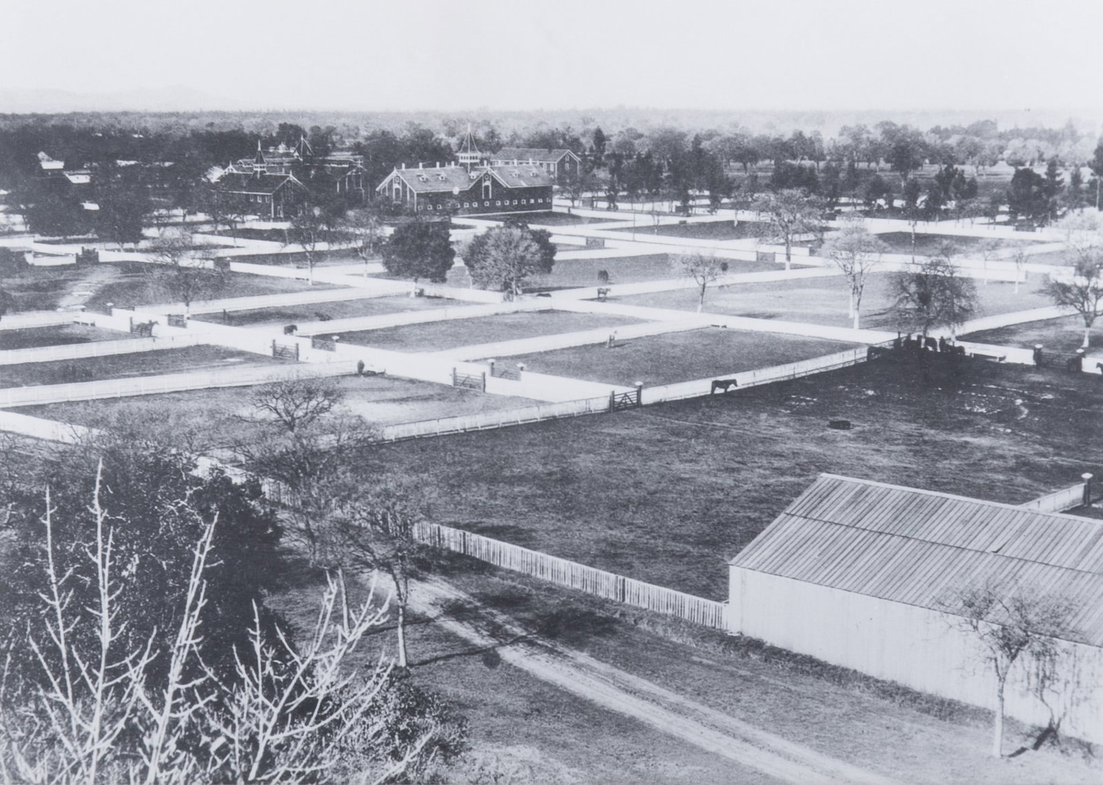 Willard E. Worden, San Francisco (1868-1946), Three Views of Stanford University: Stanford Fa?ade ? (1 of 4)