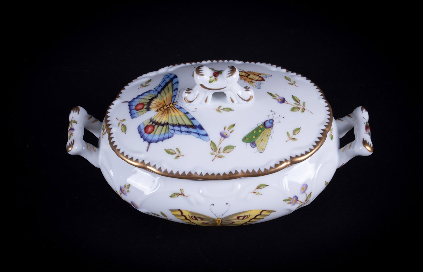 An Anna Weatherley Porcelain Lidded Tureen, Spring in Budapest (1 of 4)