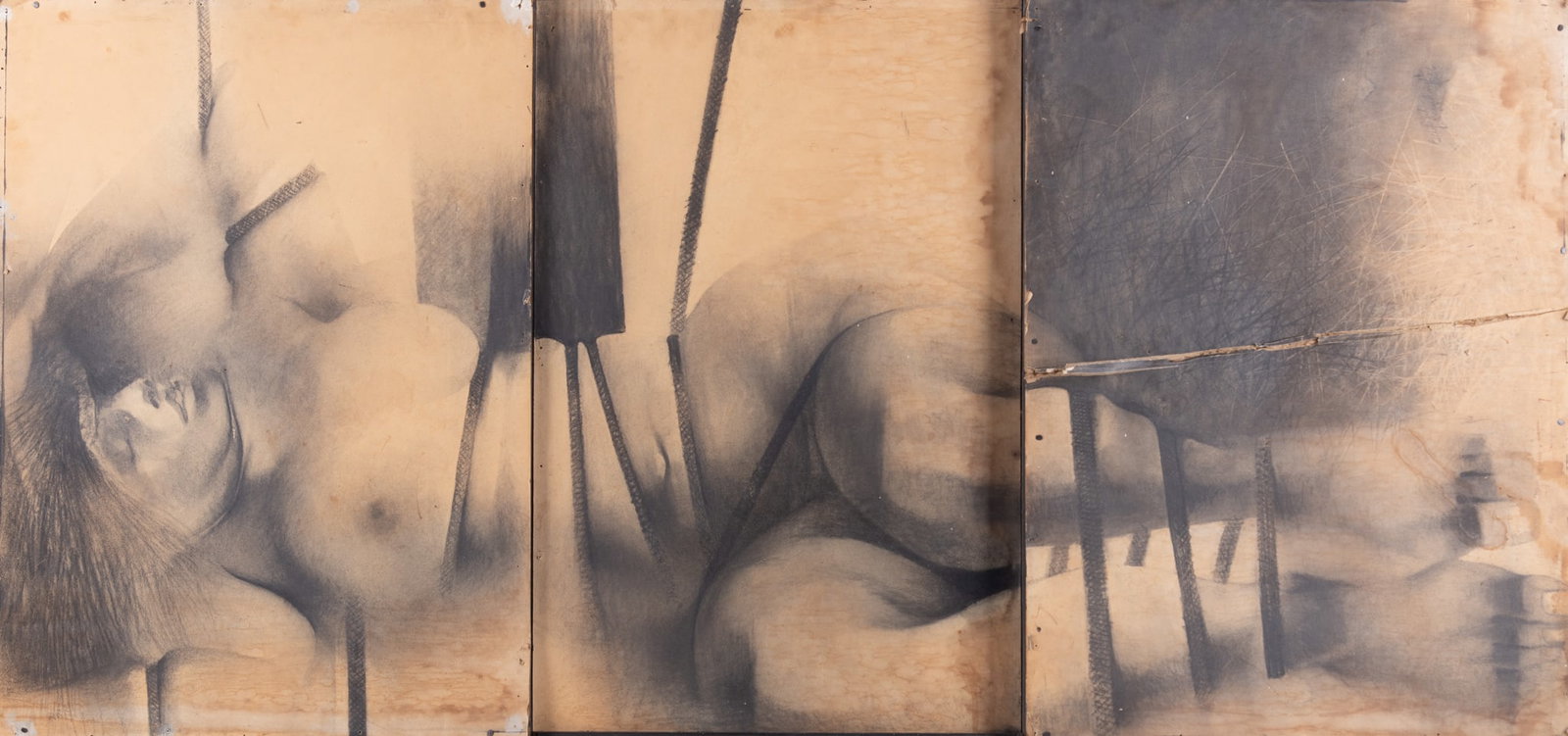 Siegfried Reinhardt, Missouri / Germany (1925-1984), Female Nude, charcoal on panels of paperboard, (1 of 5)