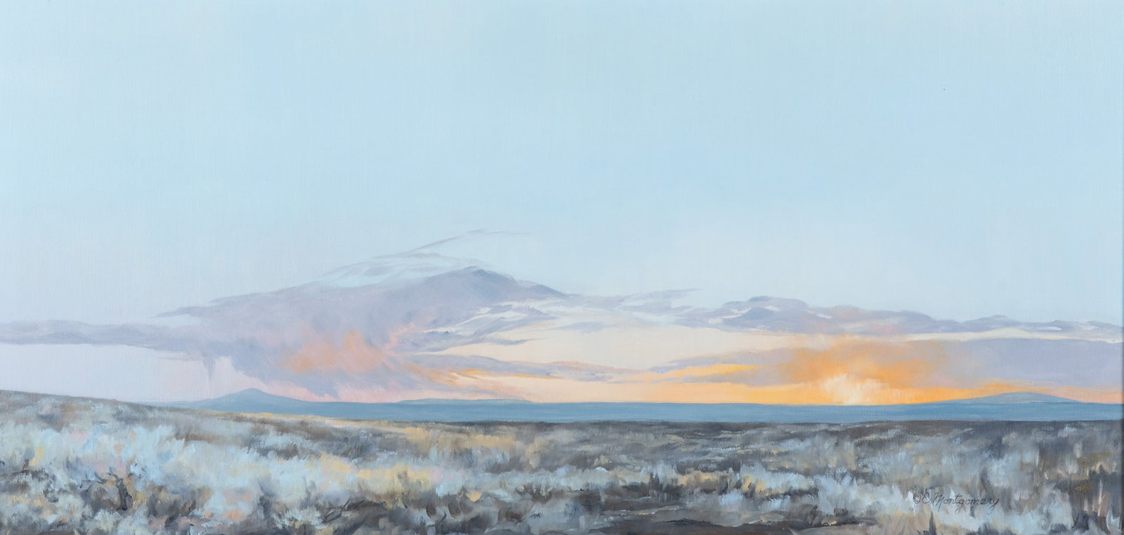 Elizabeth Montgomery, New Mexico (b. 1935), Desert Landscape, oil on canvas: Elizabeth Montgomery New Mexico, (b. 1935) Desert Landscape oil on canvas signed lower left, framed. 15 x 30 inches; 19 x 34 inches (overall with frame)