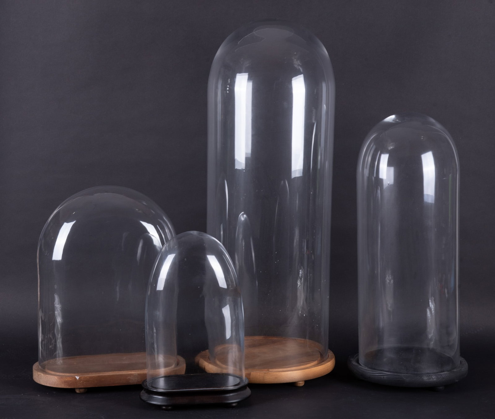 Four Cloches: Four Cloches Three glass cloches on wooden stands, two are circular and two are oval. measurements including bases: 30 x 12 inches; 23 x 10 inches; 17 x 13 x 7 1/2 inches; 14 x 9 x 5 1/2 inches