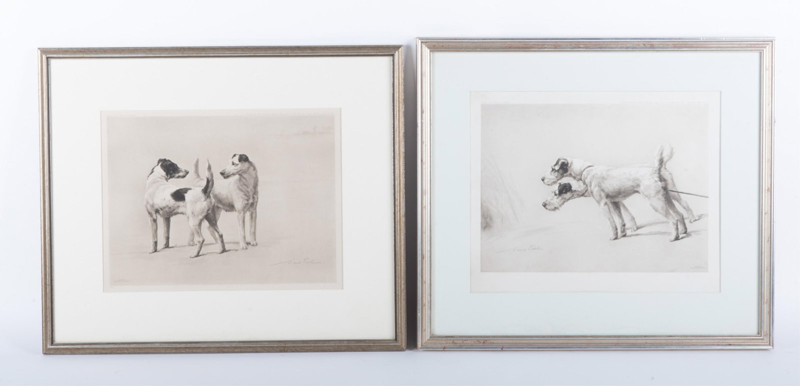 Maude Earl, 1863-1943, Smooth Fox Terriers, and Rough and Ready (depicting two wire-haired fox: Maude Earl 1863-1943 Smooth Fox Terriers, and Rough and Ready (depicting two wire-haired fox terriers), 1903 two photogravures, Published by Berlin Photographic Company, London framed 9 1/2 x 12 inche