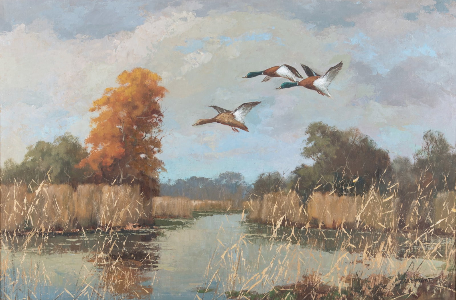 J Clement, American 20th Century, Mallards Alighting, oil on canvas: J Clement American, 20th Century Mallards Alighting oil on canvas signed lower right, framed. 24 x 36 inches; 32 x 43 inches (overall with frame)