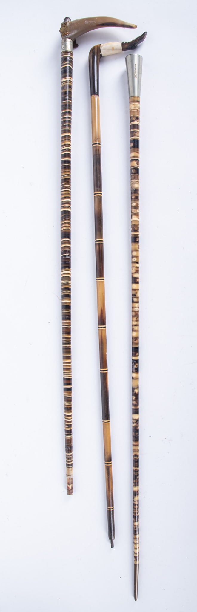 Three Vintage Horn and Vertebrae Walking Canes: Three Vintage Horn and Vertebrae Walking Canes 3 canes having horn or vertebrae sections, one with a whimsical woman's leg. 32 1/2, 33 1/2 and 35 3/4 inches
