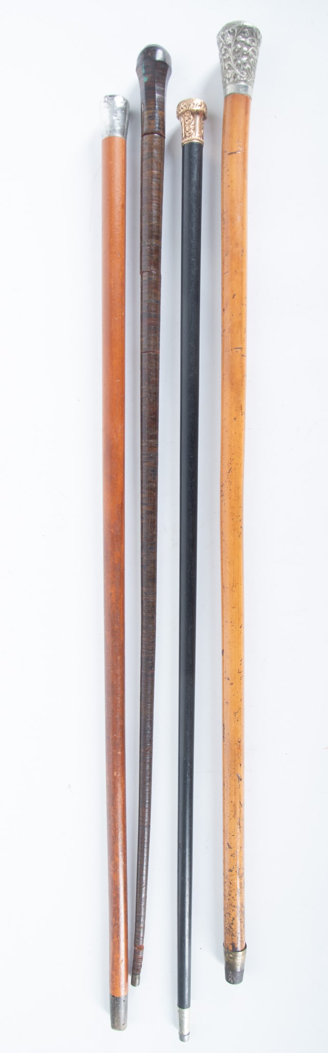 Four Walking Sticks (1 of 3)