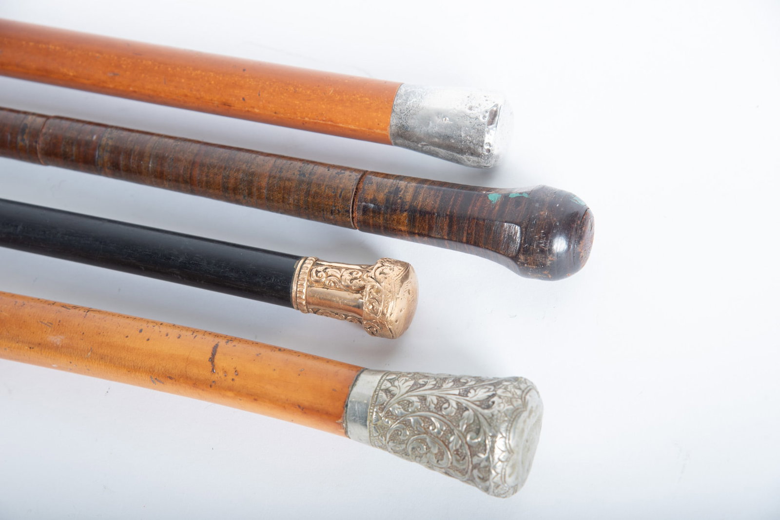 Four Walking Sticks - 2