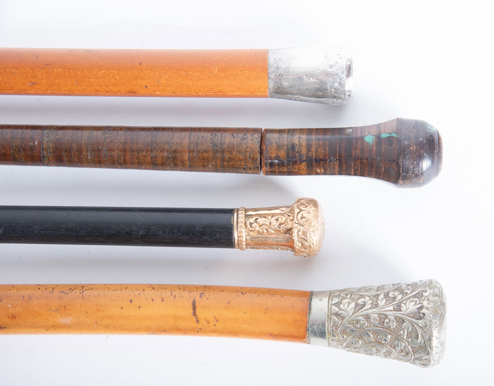 Four Walking Sticks - 3