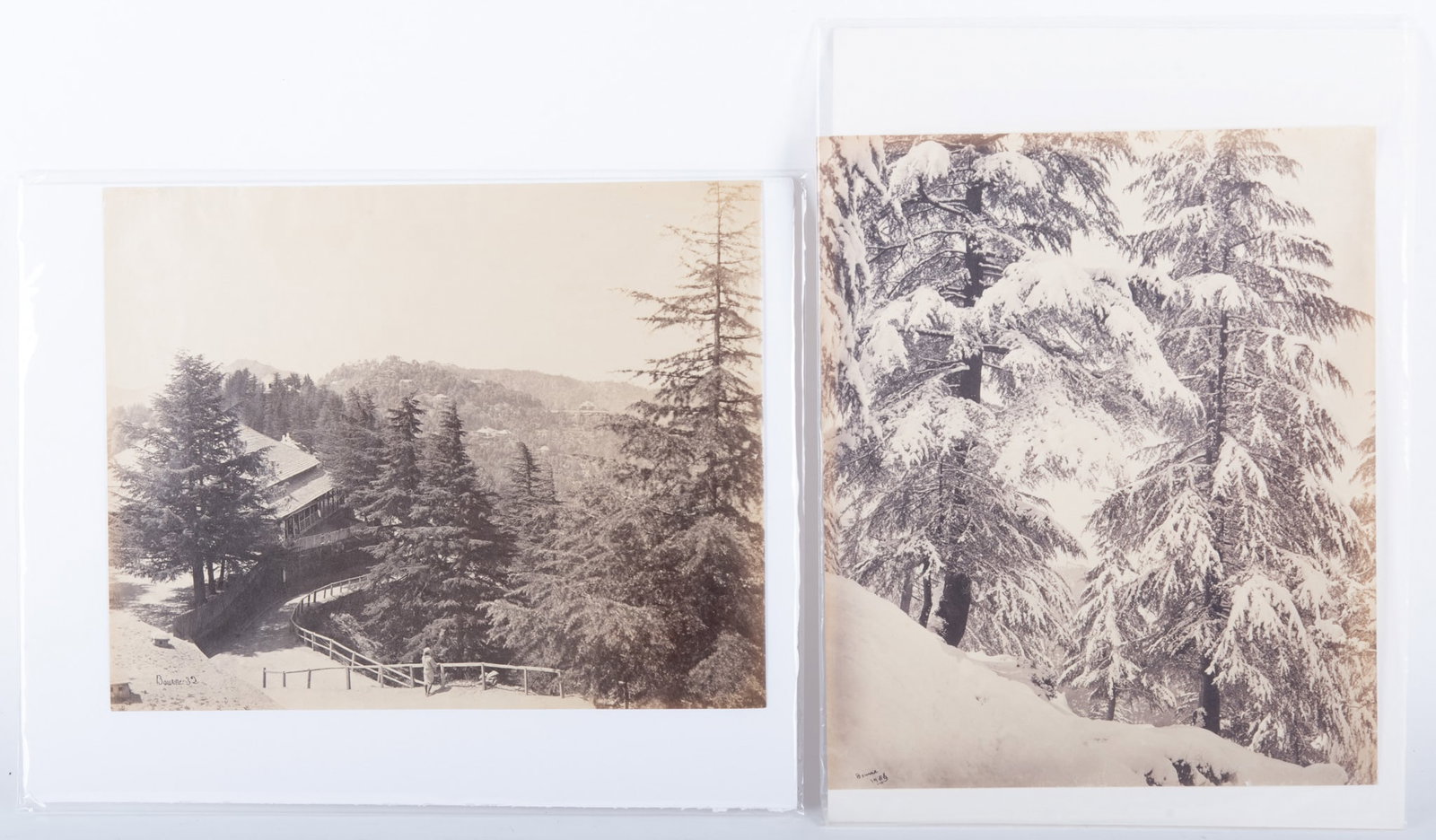 Samuel Bourne, 1834-1912, Pine Trees in Winter and Mountain Landscape in Summer, India, two albumen: Samuel Bourne 1834-1912 Pine Trees in Winter and Mountain Landscape in Summer, India two albumen prints both have negative numbers: 1486 (Himalayan, 1866), and 32 (Simla, 1863-1864) unframed. 11 1/2 x