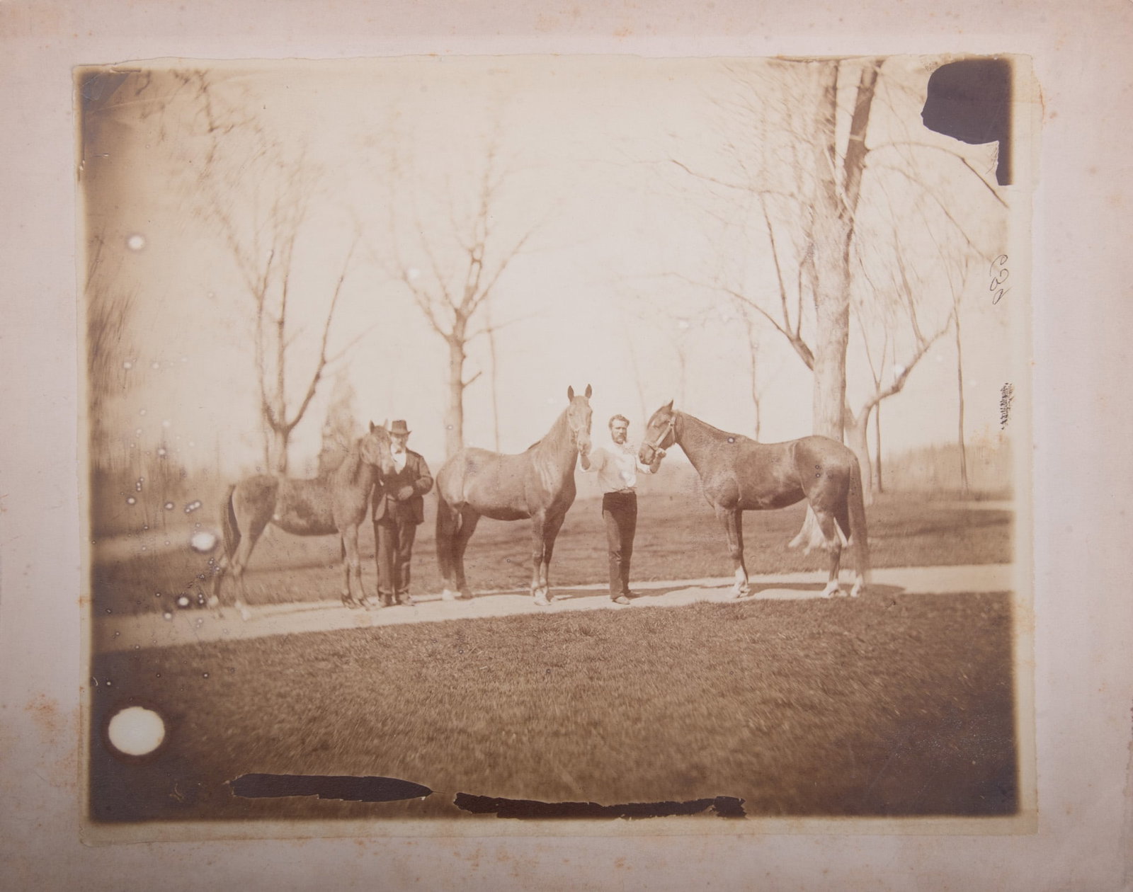 French 19th Century, Men with Horses, circa 1860, albumen print (1 of 5)