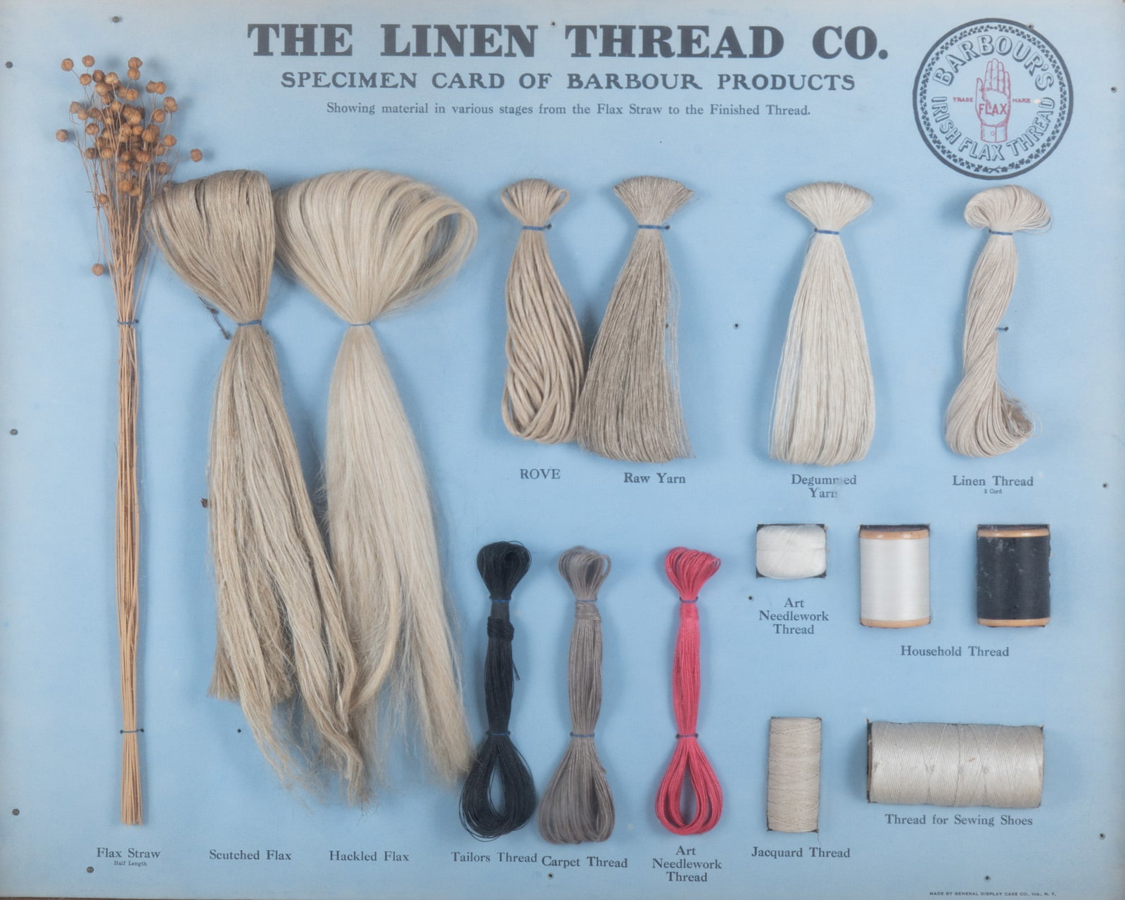 The Linen Thread Co. Specimen Card for Barbour's Irish Flax Thread: The Linen Thread Co. Specimen Card for Barbour's Irish Flax Thread Showing material in various stages from the Flax Straw to the Finished Thread, contained in a shadowbox frame. 22 x 26 1/2 inches