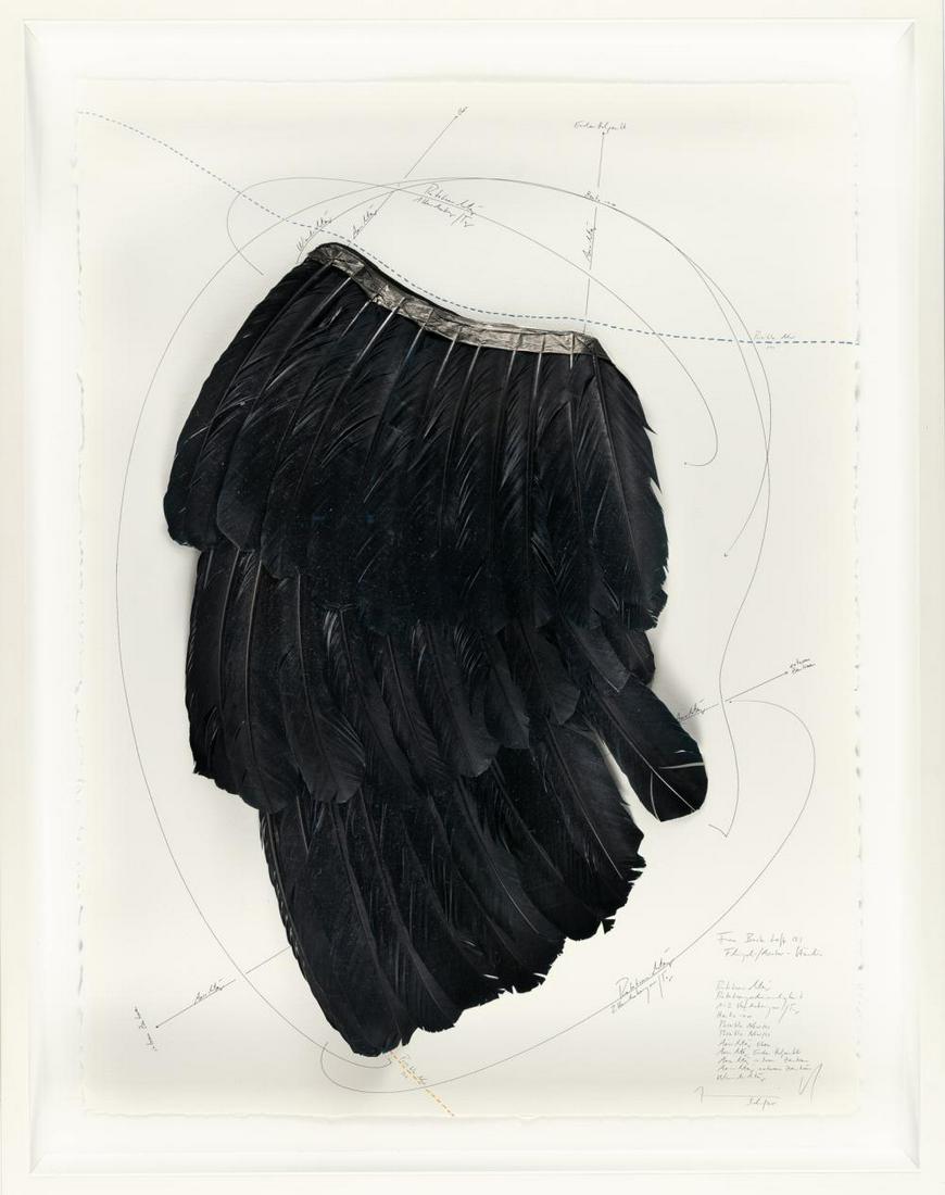 From Back Left (I) Flügel-Avatar-Studie: Artist: Jorinde Voigt Unique work. Ink, swan feathers, oil crayon, Indian ink and pencil on wove by Arches. 2015. C. 77.5 x 57.5 cm (box frame c. 86 x 67.5 x 8.5 cm). Signed, dated, titled and inscrib