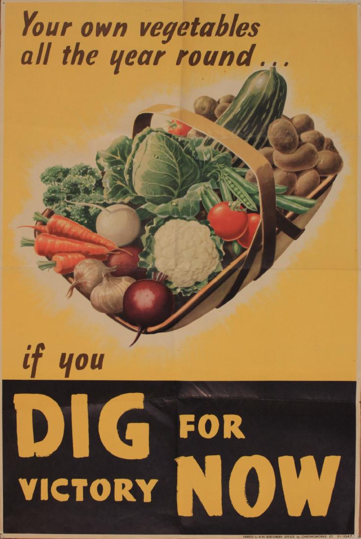 Norman Wilson Dig for Victory Now, Your own vegetables (1 of 1)