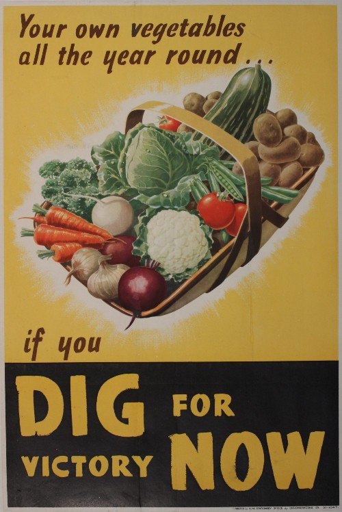 Norman Wilson Dig for Victory Now, original WW2 po: Norman Wilson Dig for Victory Now, original WW2 poster printed for HMSO by Royle - 51 x 38 cm