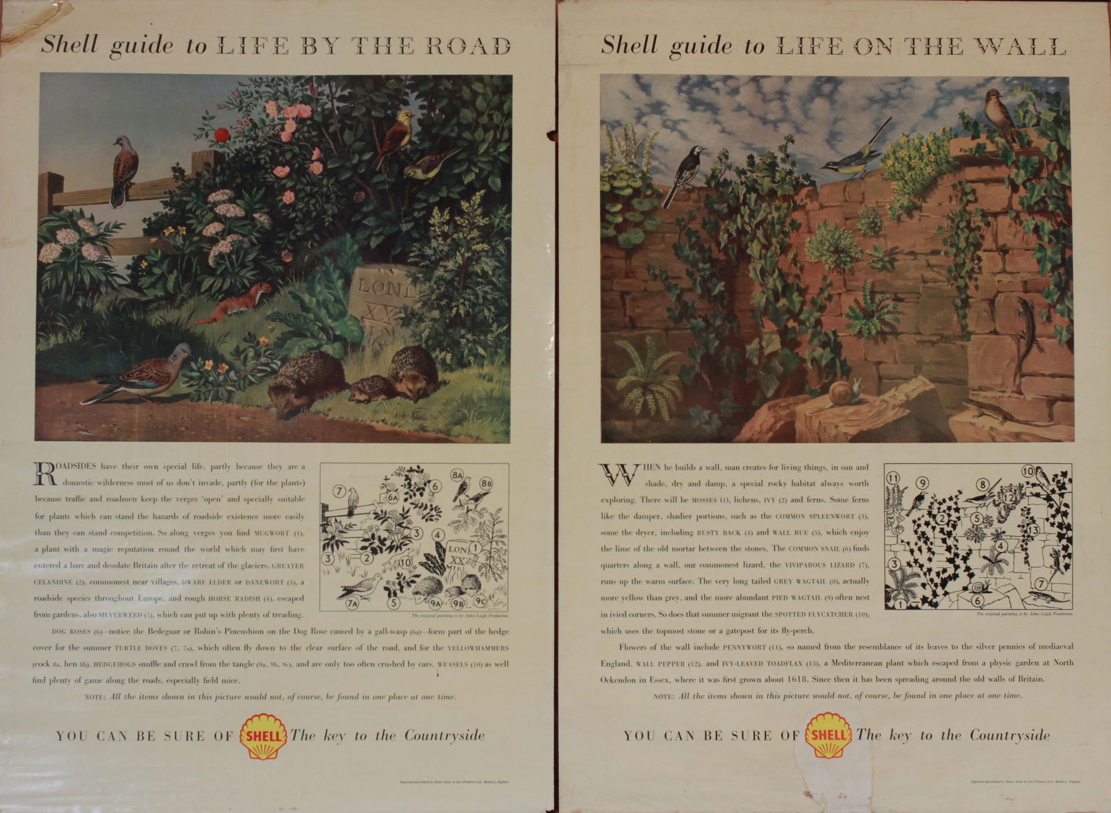 John Leigh Pemberton (1911-1997) Life by the road, on the wall, on the Downs and on the tide line, 4 (1 of 1)