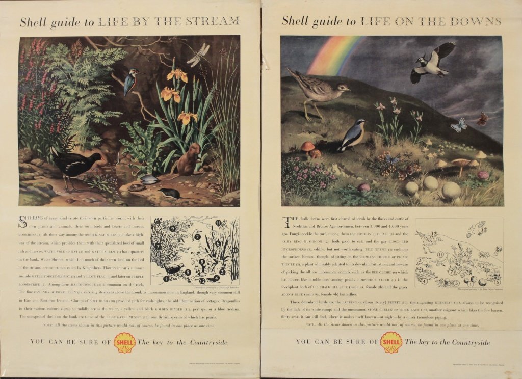 John Leigh Pemberton (1911-1997) Shell Guide to Li: John Leigh Pemberton (1911-1997) Shell Guide to Life on the Downs and by the Stream, two original posters printed by Henry Stone - 76 x 51 cm (2)