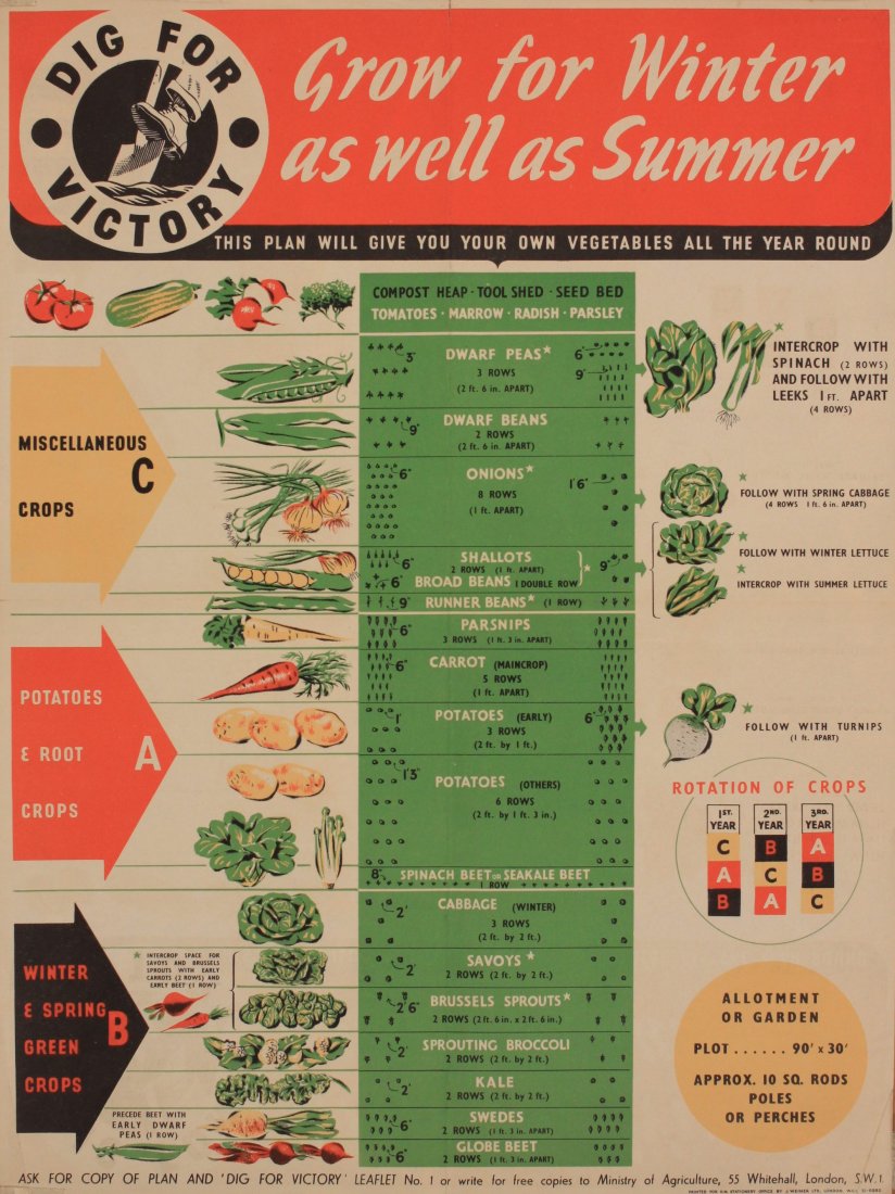 Dig For Victory, Grow for Winter as well as Summer,: Dig For Victory, Grow for Winter as well as Summer, original WW2 home front poster, printed for HMSO by J Weiner circa 1940 - 60 x 38 cm