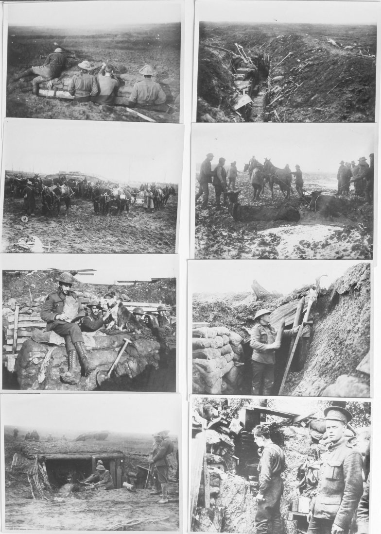 Official photographs taken on the Western Front, eleven: Official photographs taken on the Western Front, eleven original studies including The emergency telephone post behind the firing line, Lookouts, Mules in difficulties in the mud, Cavalry horses near 