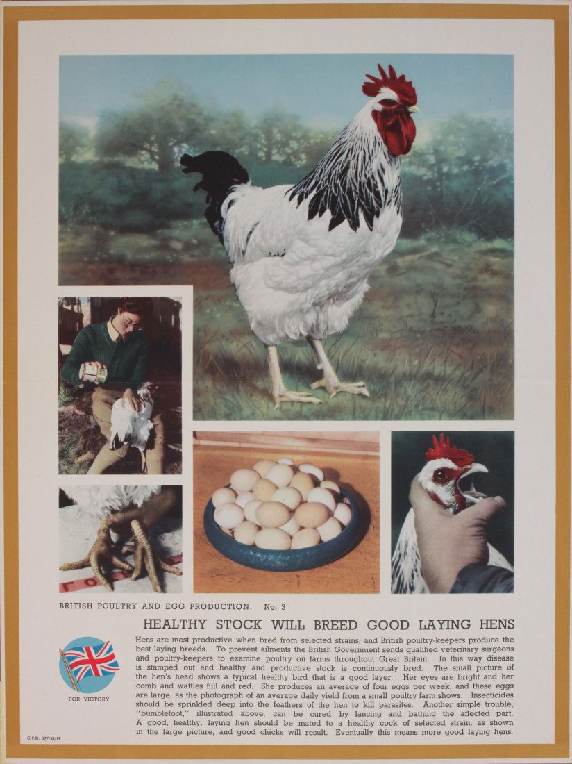 For Victory, British Poultry and Egg Production No 3, (1 of 1)