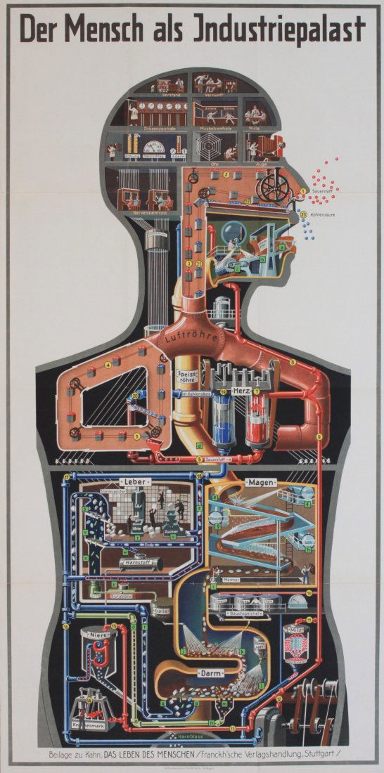 Fritz Kahn (1888-1968) Der Mensch als Industriepalast , (1 of 1)