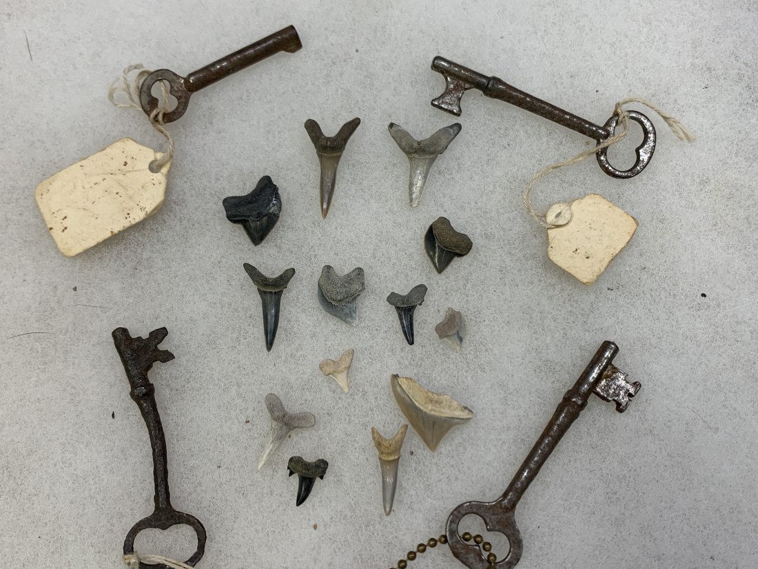 shark teeth and old keys: odd lot of estate stuff you need! WE WILL COMBINE SHIPPING