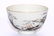A CHINESE LANDSACPE PRINTED PORCELAIN BOWL - 4