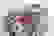 item-85437615=5