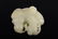 A CHINESE JADE TOAD ORNAMENT - 2