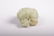 A CHINESE JADE TOAD ORNAMENT - 3