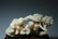 A CHINESE FINELY CARVED ORNAMENT - 8