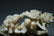 A CHINESE FINELY CARVED ORNAMENT - 9