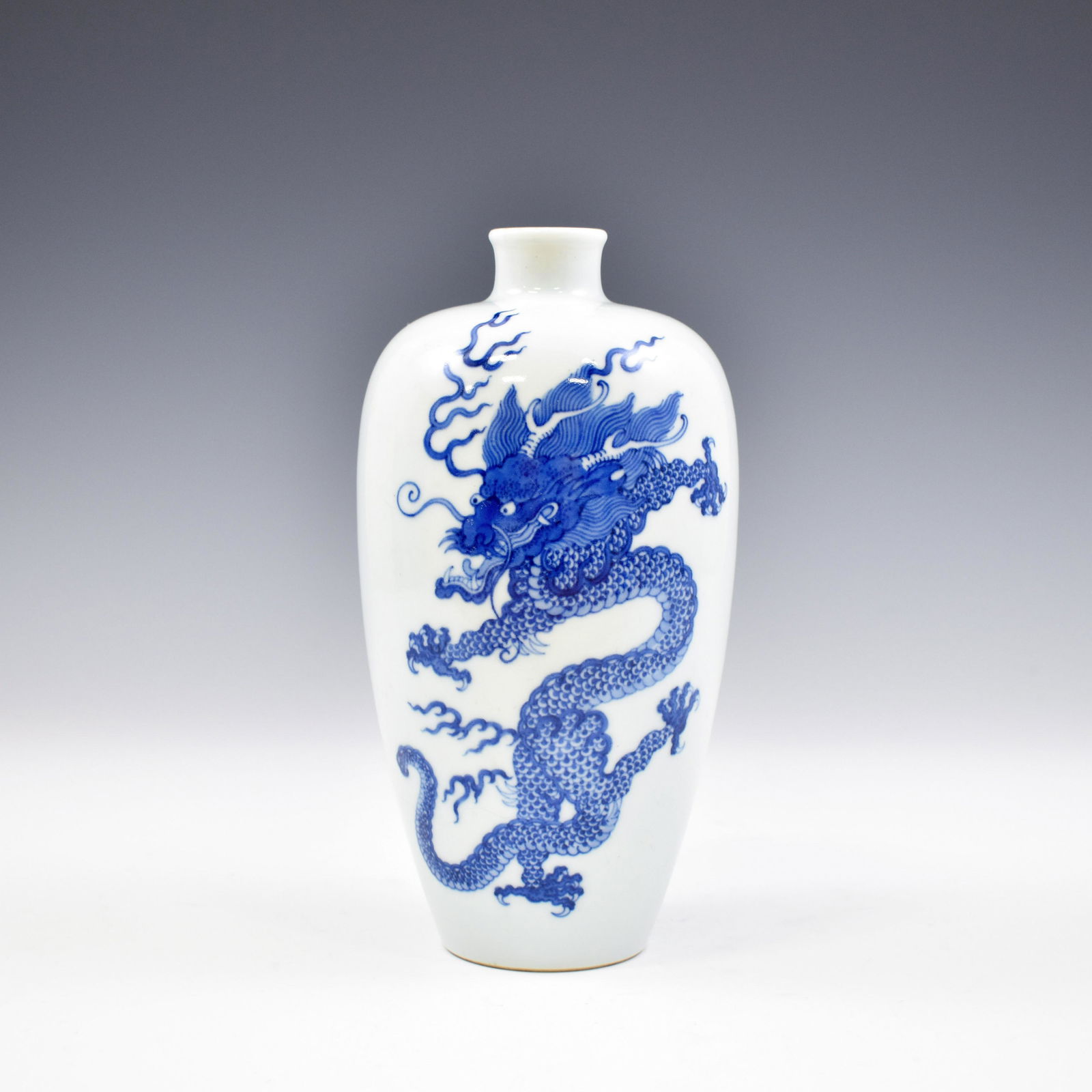 KANGXI BLUE & WHITE DRAGON MEIPING VASE (1 of 7)