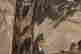 item-120449765=5