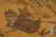 item-120449767=12