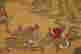 item-120449767=14