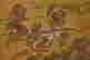 item-120449767=9