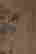 item-120449778=3