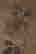 item-120449778=4