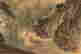 item-120449781=4