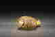 item-120641017=9