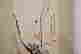 item-131029718=4